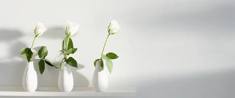 白色花瓶背景装饰