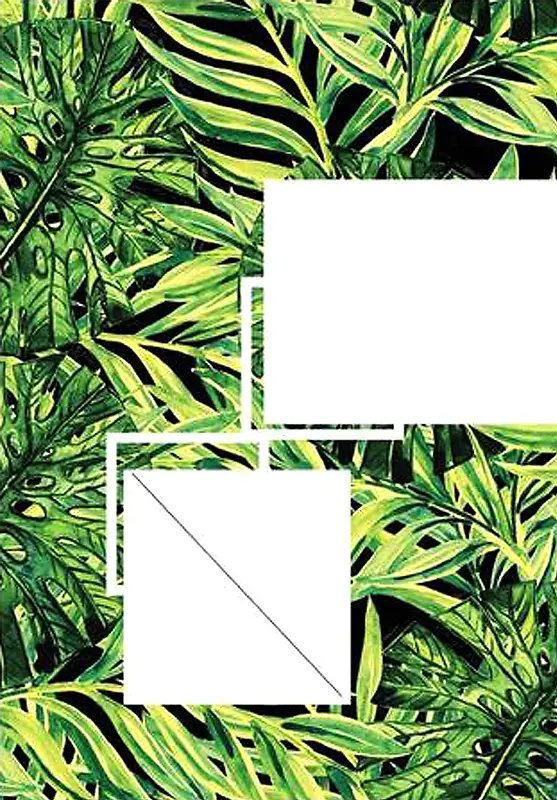 热带植物海报背景