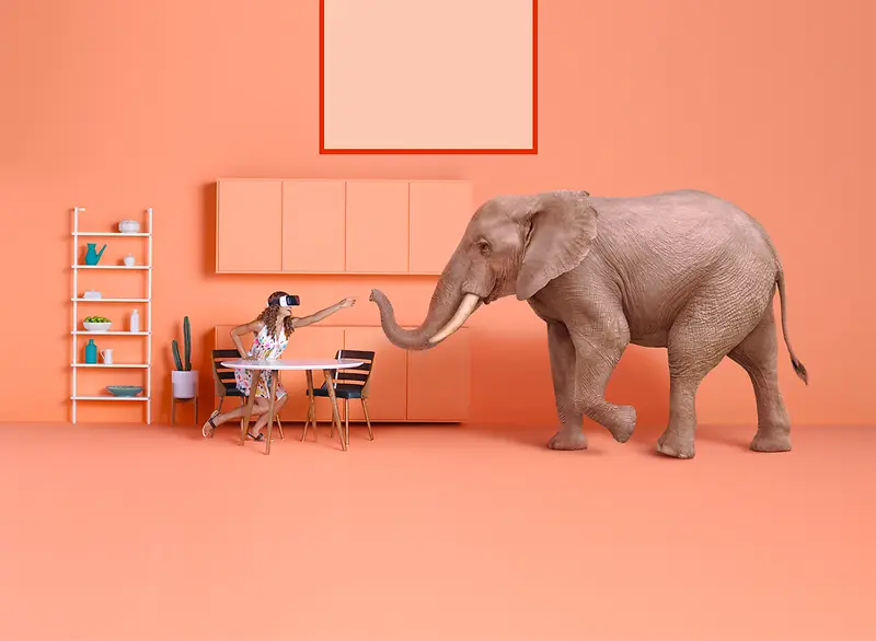 橙粉色屋子里的人与大象