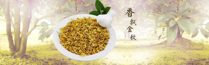 淘宝茶叶花茶清新树林背景banner