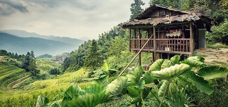 初夏荷叶乡村建筑小清新建筑风背景