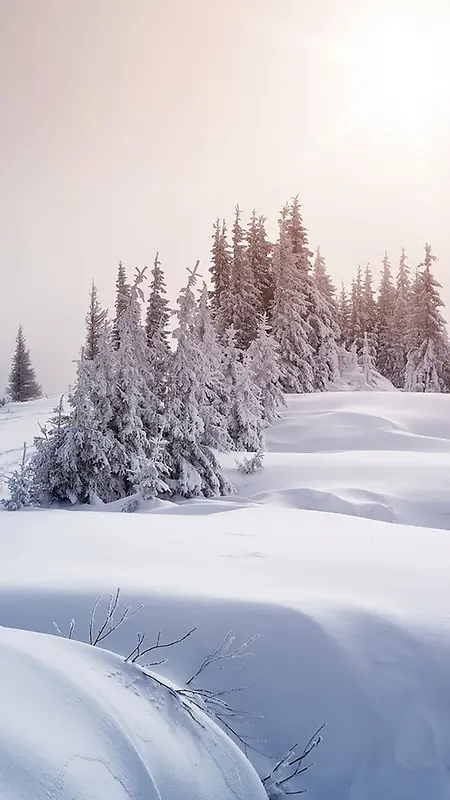 梦幻冬季雪景手机端H5背景