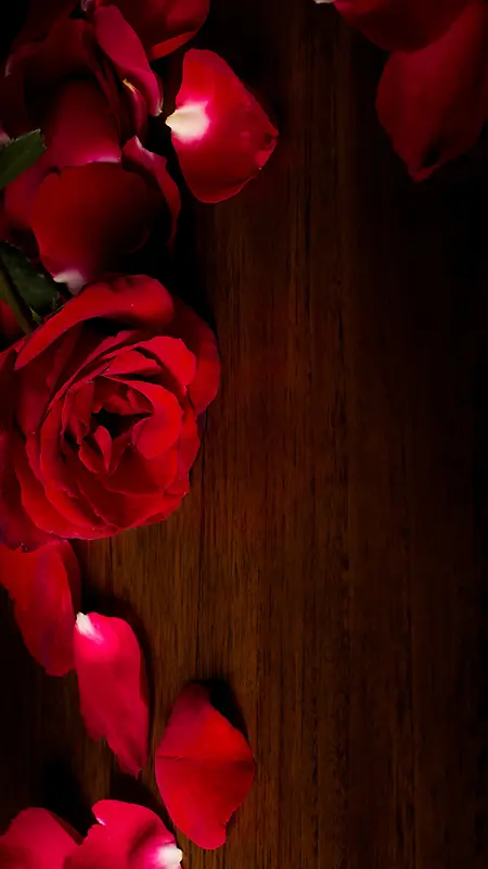 红玫瑰木板木纹H5背景