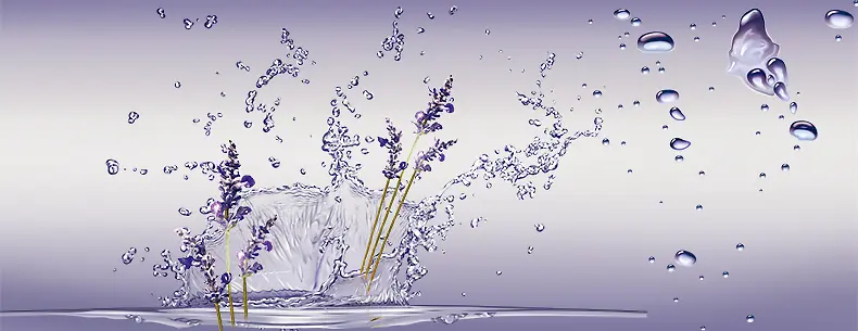淘宝紫色薰衣草唯美水滴背景