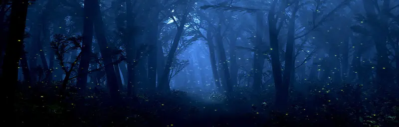 梦幻黑色星光森林背景