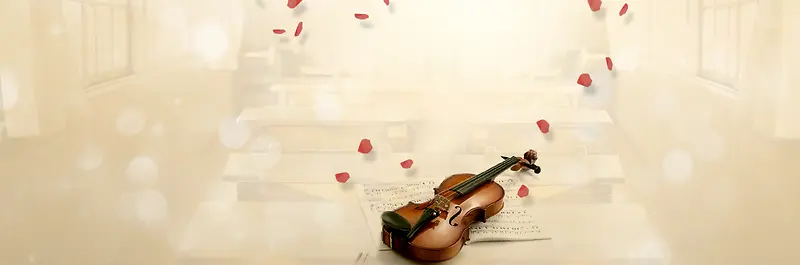 浪漫唯美梦幻小提琴花瓣背景图