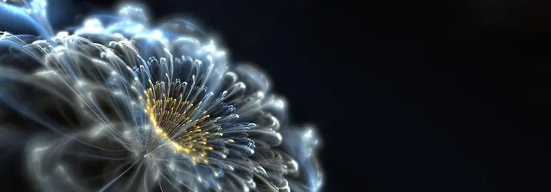 3D抽象花瓣