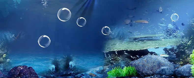 海底清新岩石珊瑚气泡详情页海报背景
