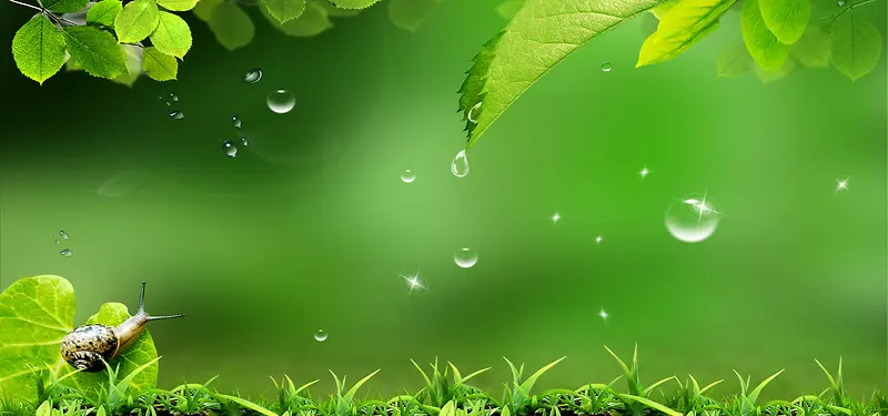 绿色小清新水滴背景
