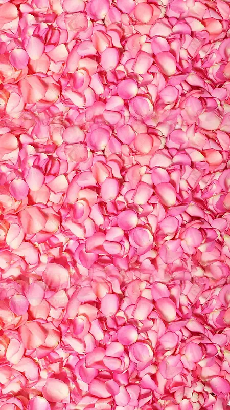 粉红色花朵花瓣平铺H5背景