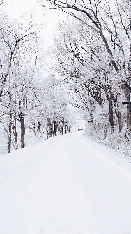 雪天大道H5背景