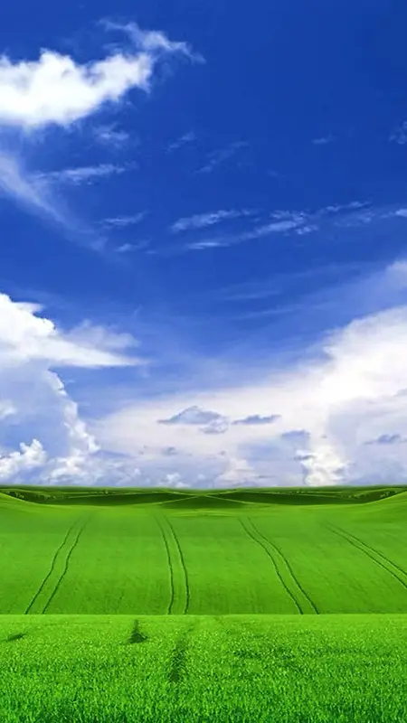 天空下的草原H5素材背景
