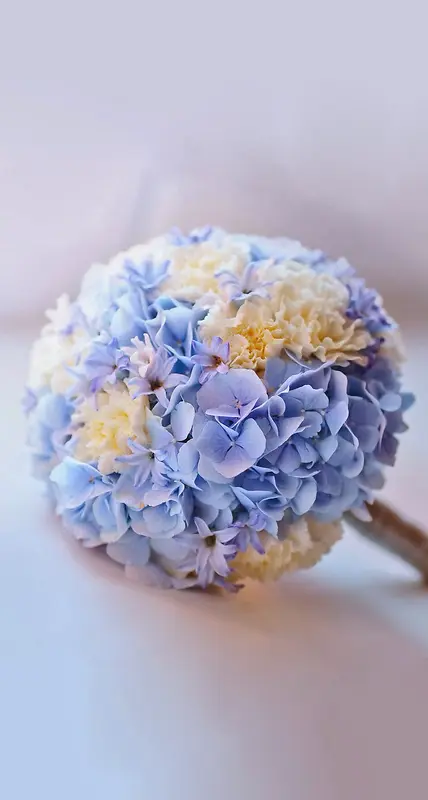 蓝色唯美捧花