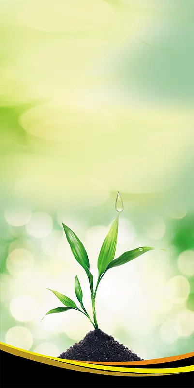 清新绿色植物海报背景