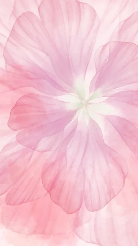 粉色花朵母亲节H5分层背景