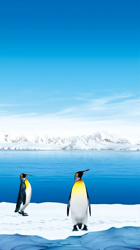 冰山企鹅H5背景