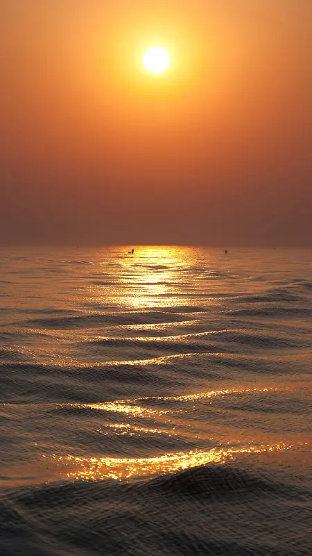 日出朝阳大海手机端H5背景
