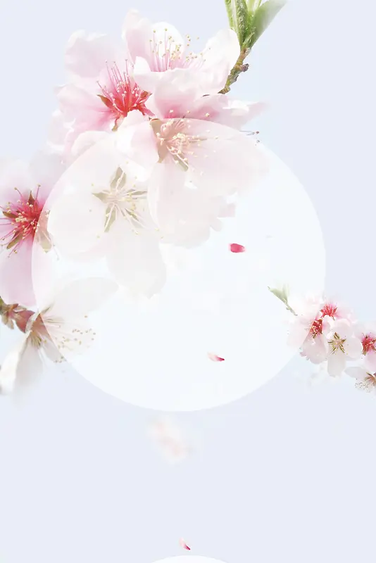 粉红色花朵上的圆圈背景素材