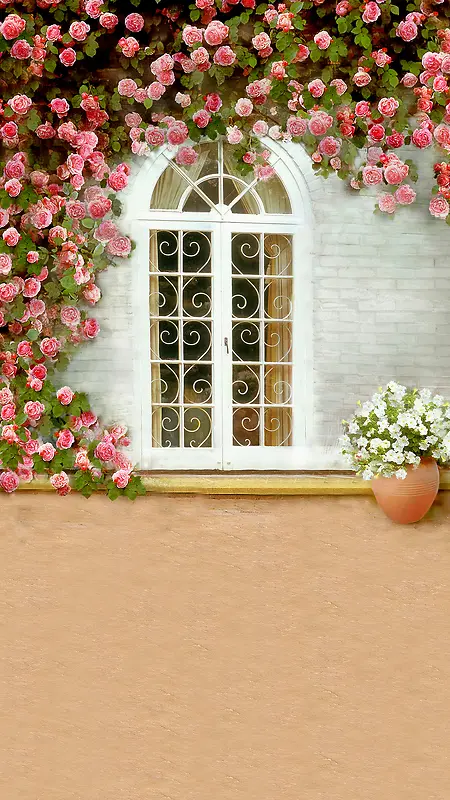花朵窗户蔷薇H5背景
