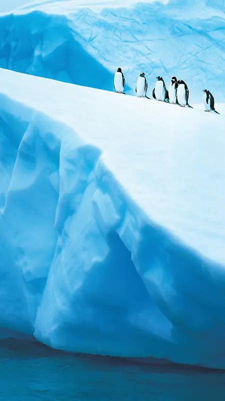 蓝色冰川企鹅手机端H5背景