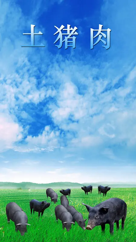 蓝色天空绿地跑山猪H5背景