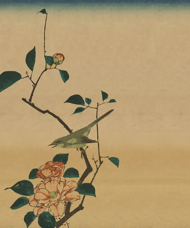 中国风花卉水墨画画册手绘背景素材