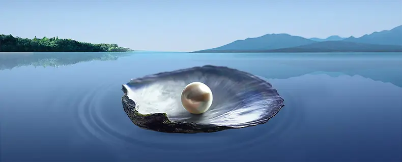 珍珠贝壳湖水背景