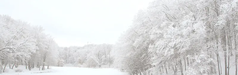 树林雪景