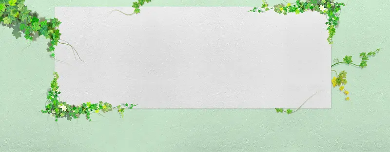 清新花藤白板绿色自然背景图