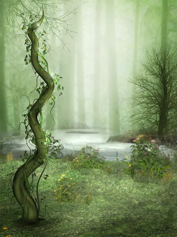 格林童话绿色森林背景