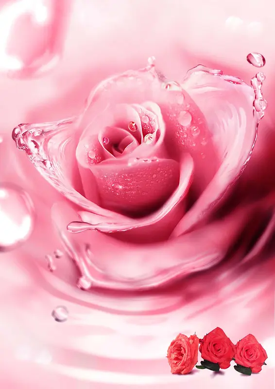 粉色玫瑰花朵背景