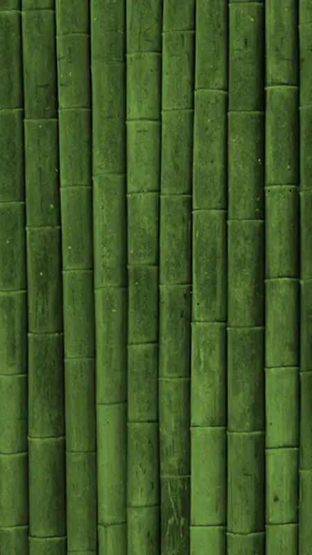 绿色小清新竹背景