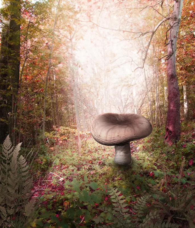 魔幻仙境蘑菇背景