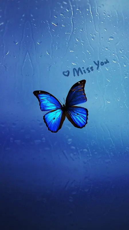 蓝色蝴蝶H5背景