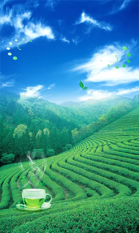绿色茶园茶杯蓝天白云海报背景