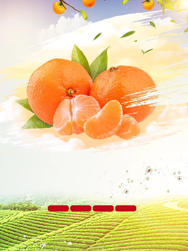 清甜柑橘背景素材