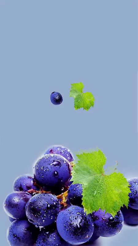 蓝色葡萄文艺天然水果H5背景素材