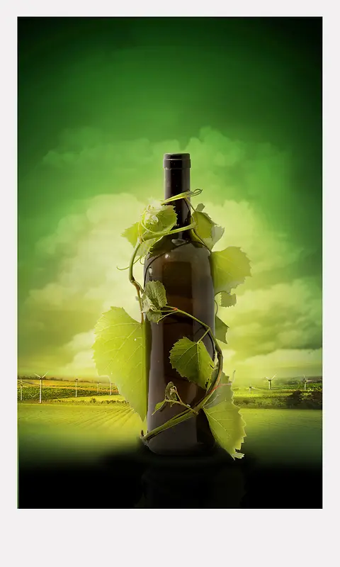 葡萄酒绿色海报背景