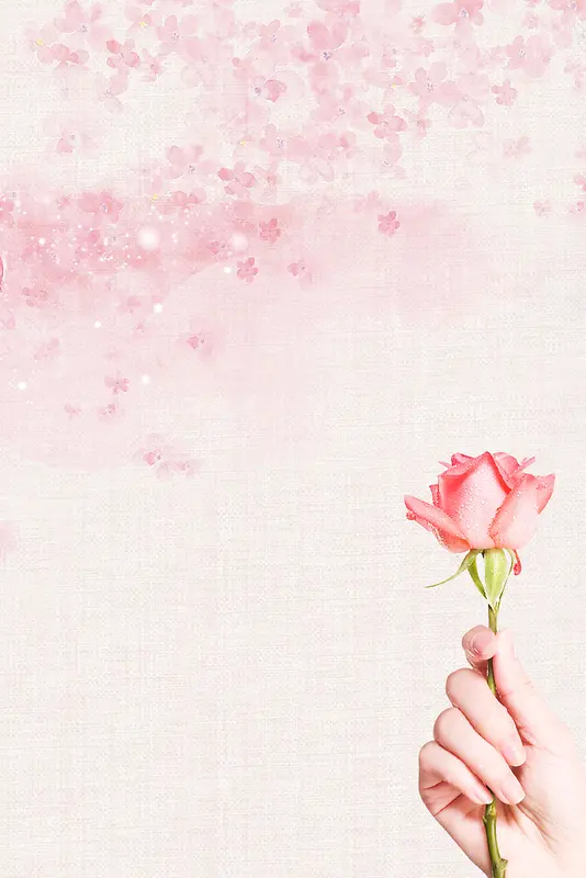 粉色唯美春季上新花瓣玫瑰背景