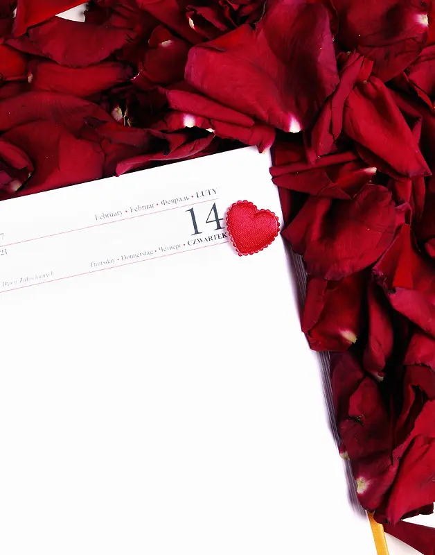 情人节玫瑰和卡片背景素材