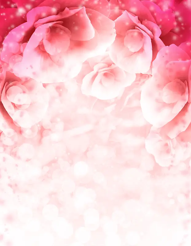 粉红色玫瑰海报背景