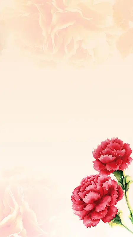 母亲节浪漫康乃馨手绘花朵背景素材