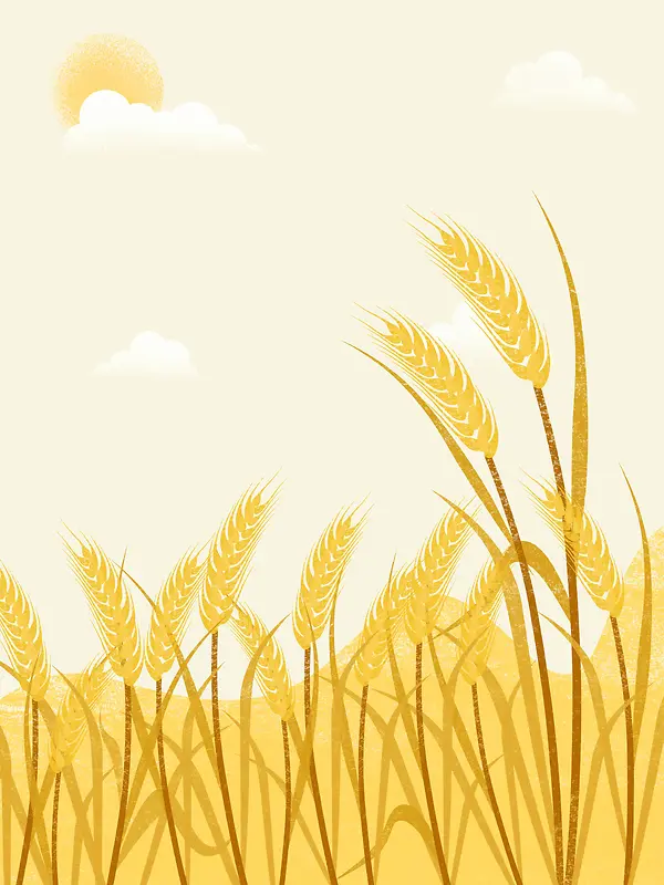 金色小麦手绘插画