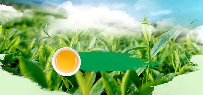 早茶节文艺景色大气绿色背景