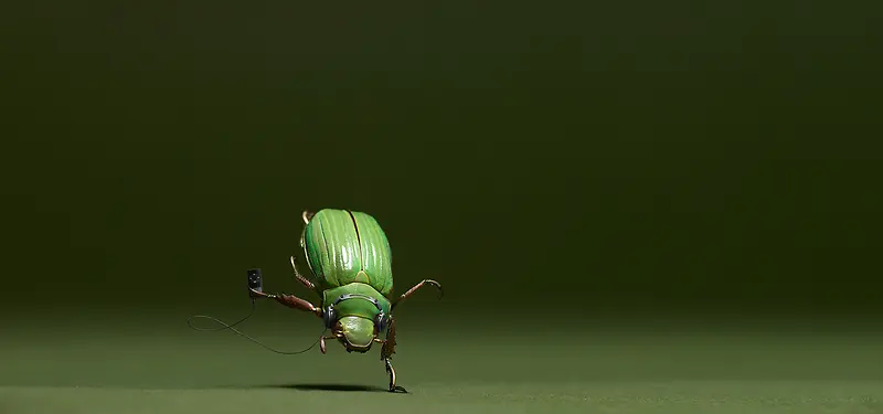 创意耳机广告设计昆虫背景图