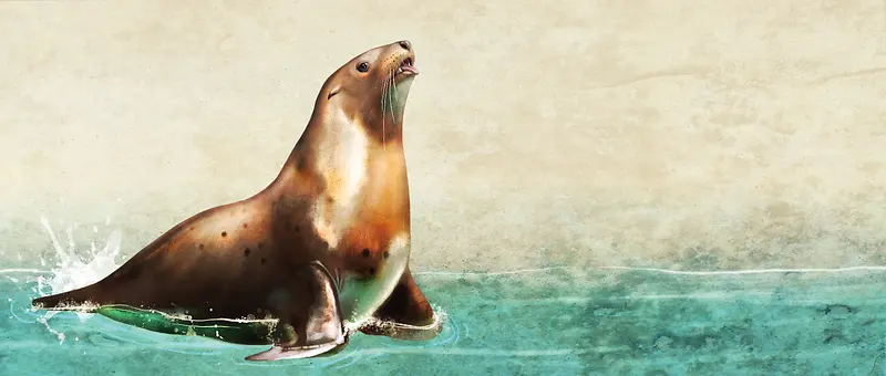 彩铅背景动物分层海豹