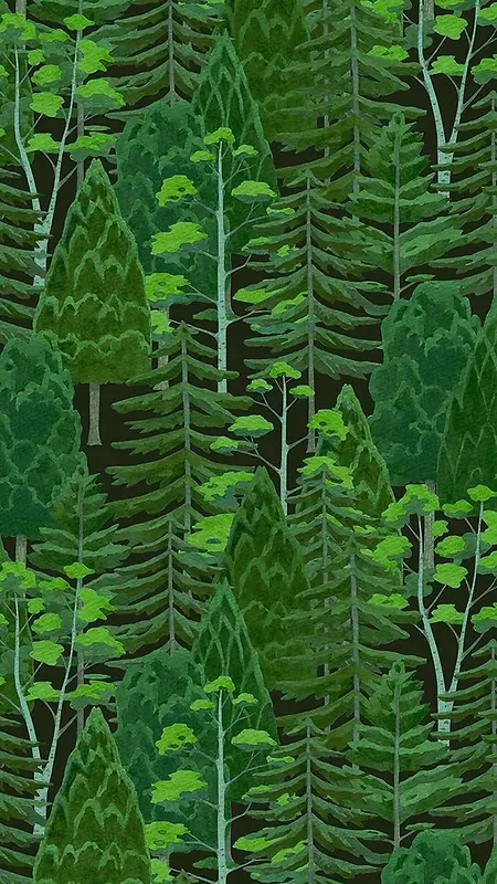 植物背景松树林背景手绘绿色H5背景