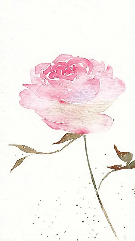 手绘水彩玫瑰花小清新背景H5背景