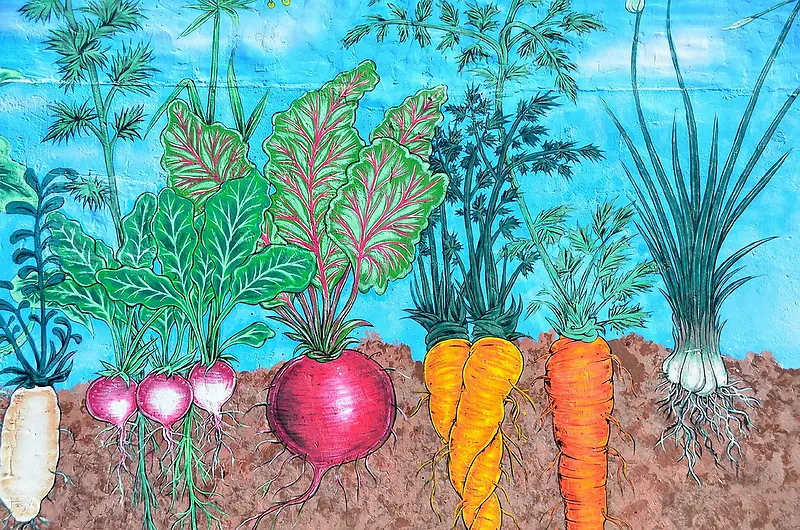 创意手绘蔬菜背景