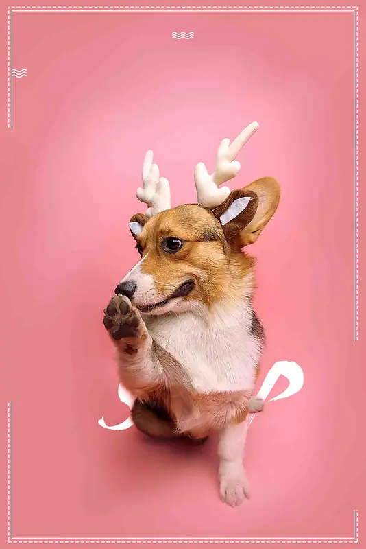 宠物之家宠物店卡通海报